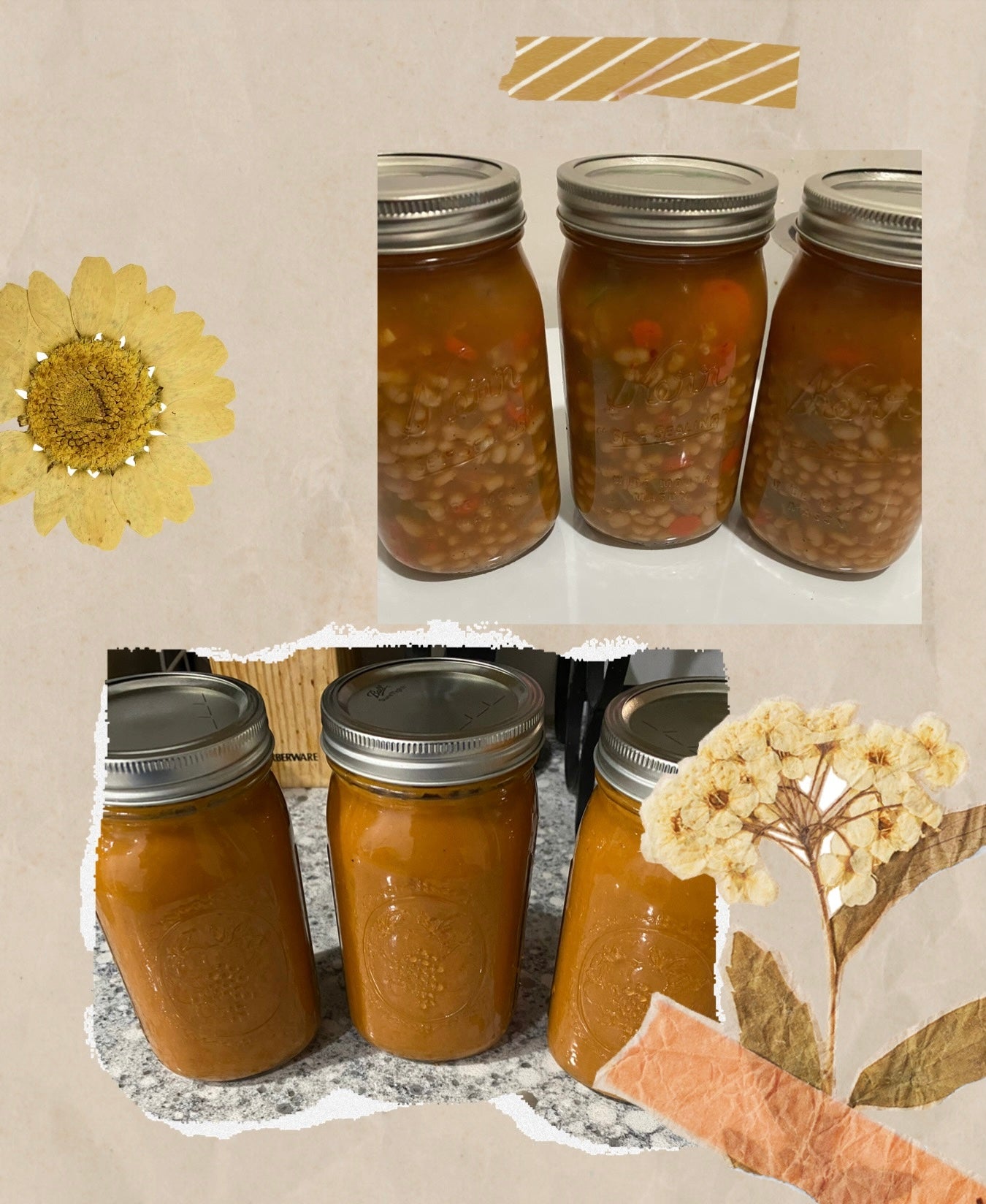 Delicious Soups